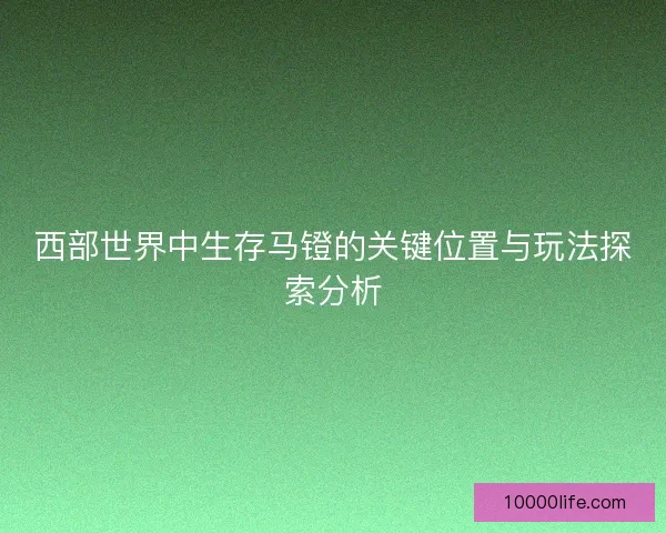 西部世界中生存马镫的关键位置与玩法探索分析 西部世界中生存马镫的关键位置与玩法探索分析