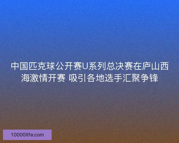 中国匹克球公开赛U系列总决赛在庐山西海激情开赛 吸引各地选手汇聚争锋 中国匹克球公开赛U系列总决赛在庐山西海激情开赛 吸引各地选手汇聚争锋